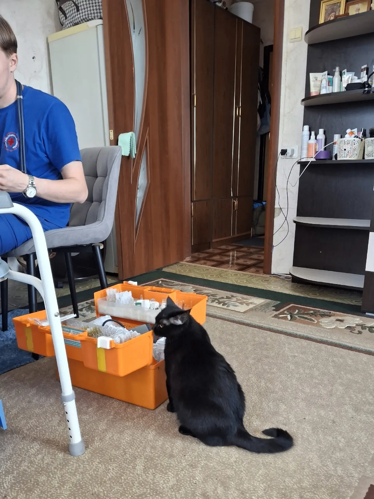 🐈 Которубрика!
