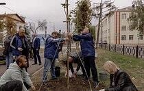 Жители ЛНР в День воссоединения с Россией высадили липы на улице Даля в Луганске