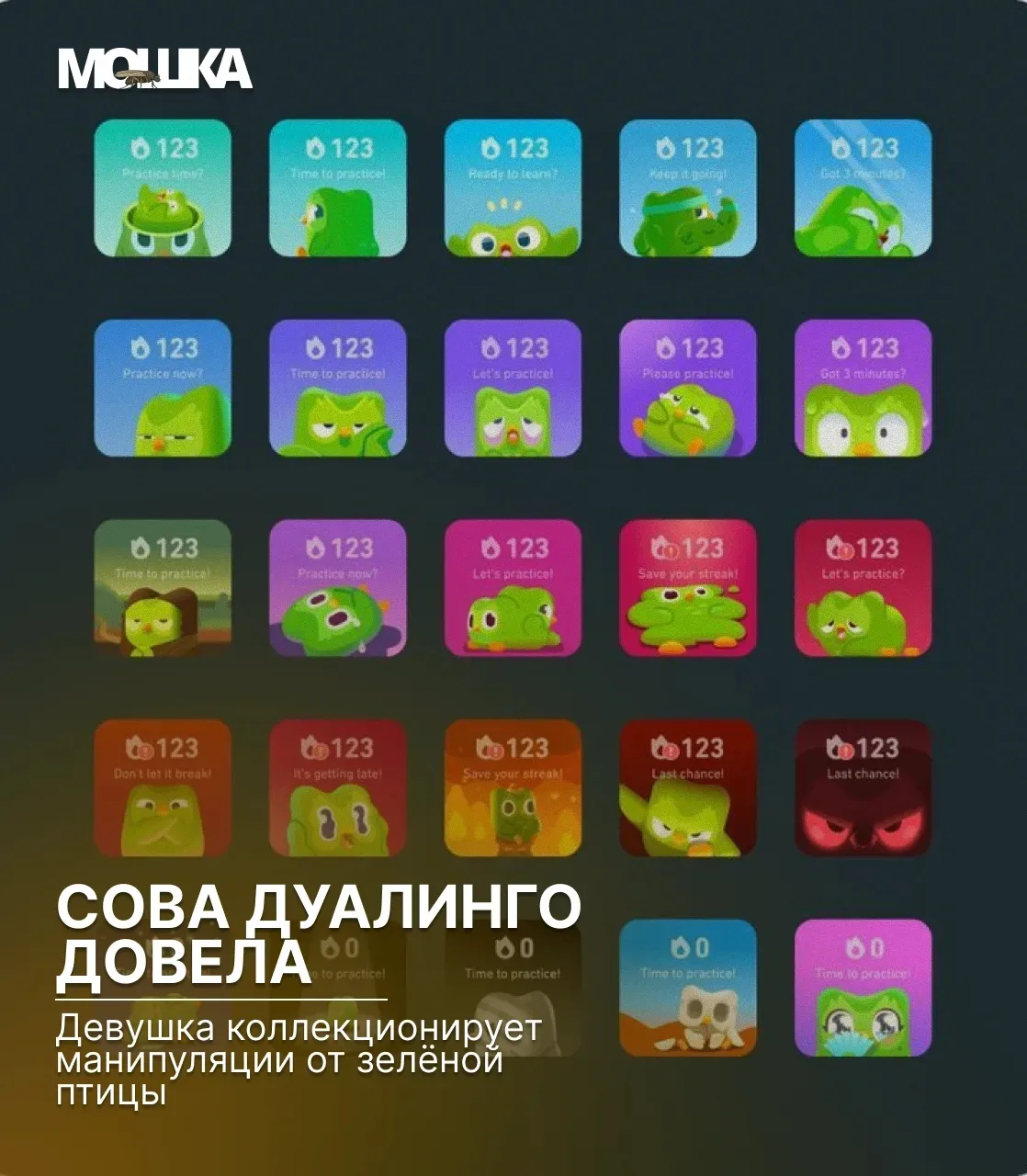 Сова Дуолинго довела: девушка коллекционирует манипуляции от зелёной птицы

Девушка из соцсетей приз