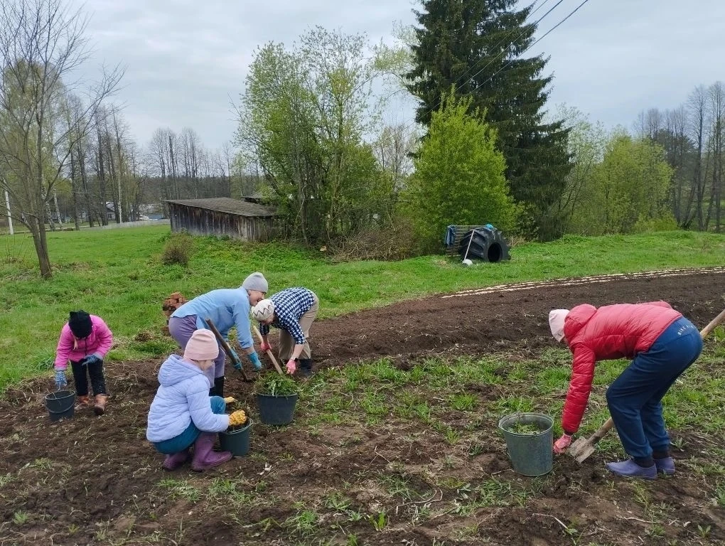 🌱 Трудовой десант "Борьба с сорняками " на школьном огороде