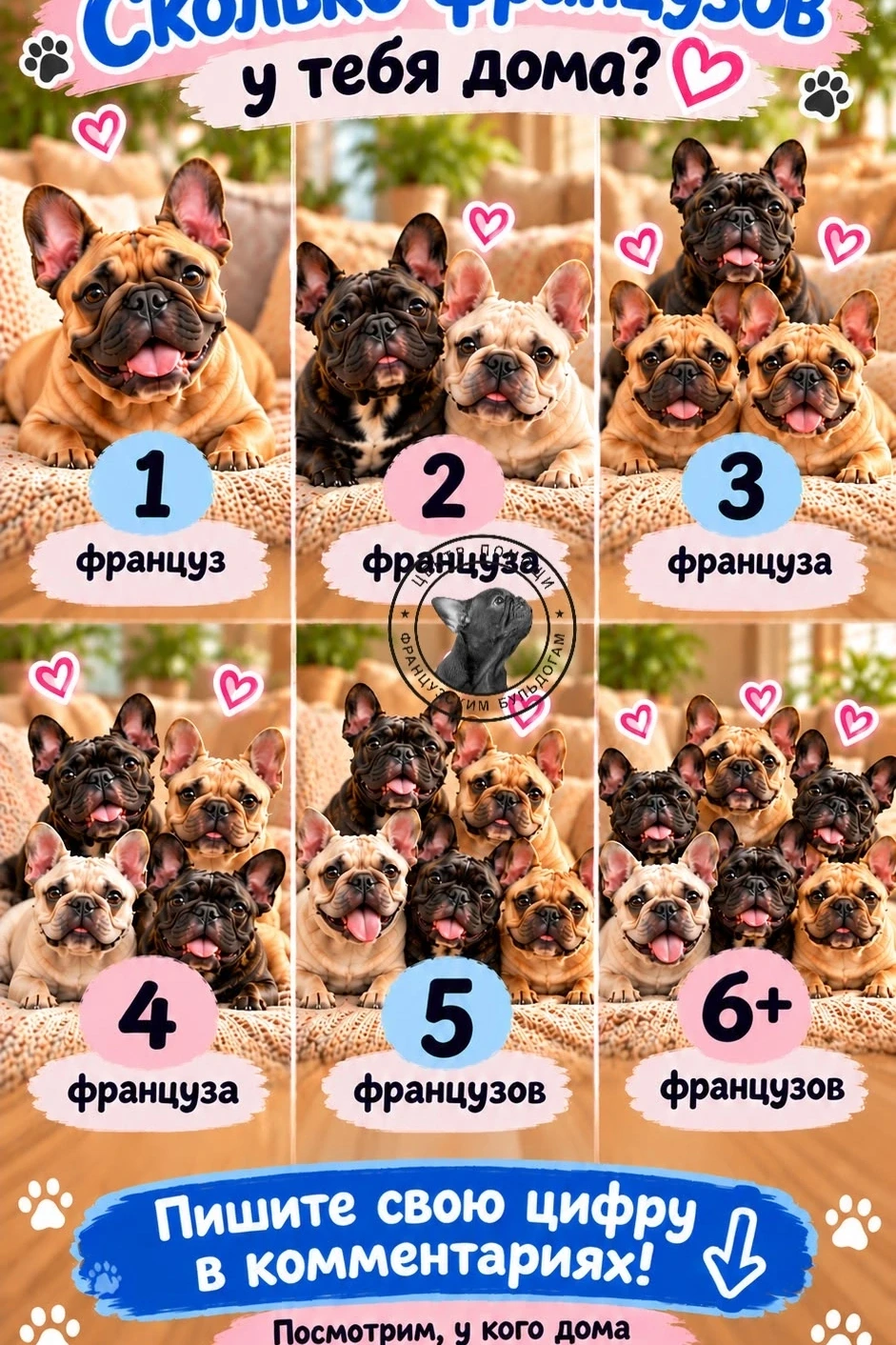 🐾 Сколько французов у тебя дома? 🐾