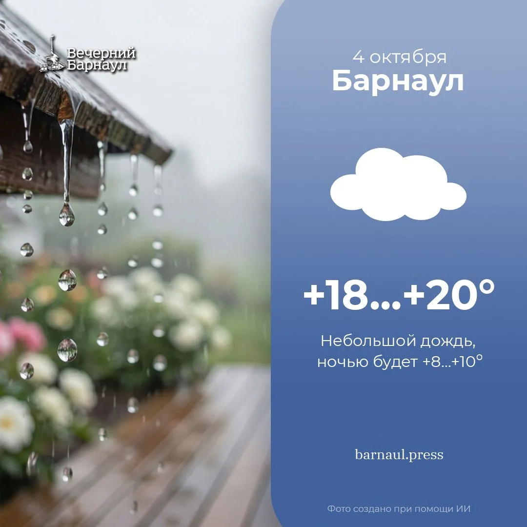 Небольшой дождь будет сегодня в Барнауле.