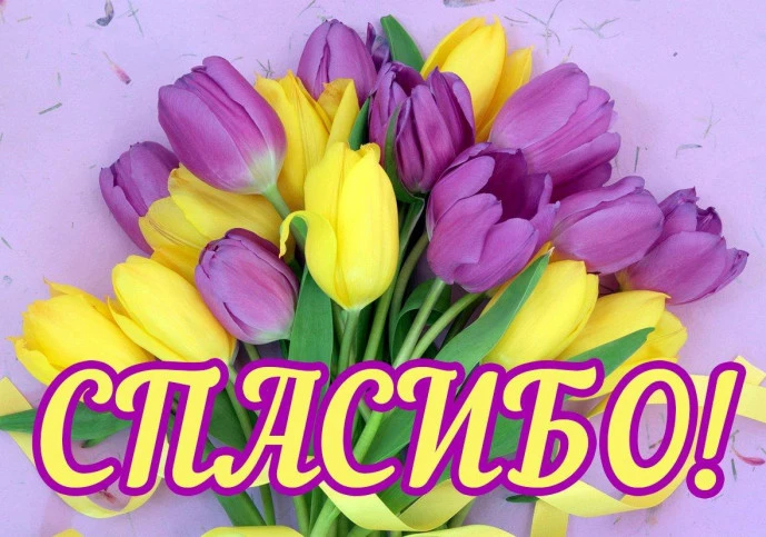 Битва хоров - 2026 🎼🎼🎼 Вчера, в нашей школе прошел конкурс "Битва хоров – 2026". В нём приняли участ