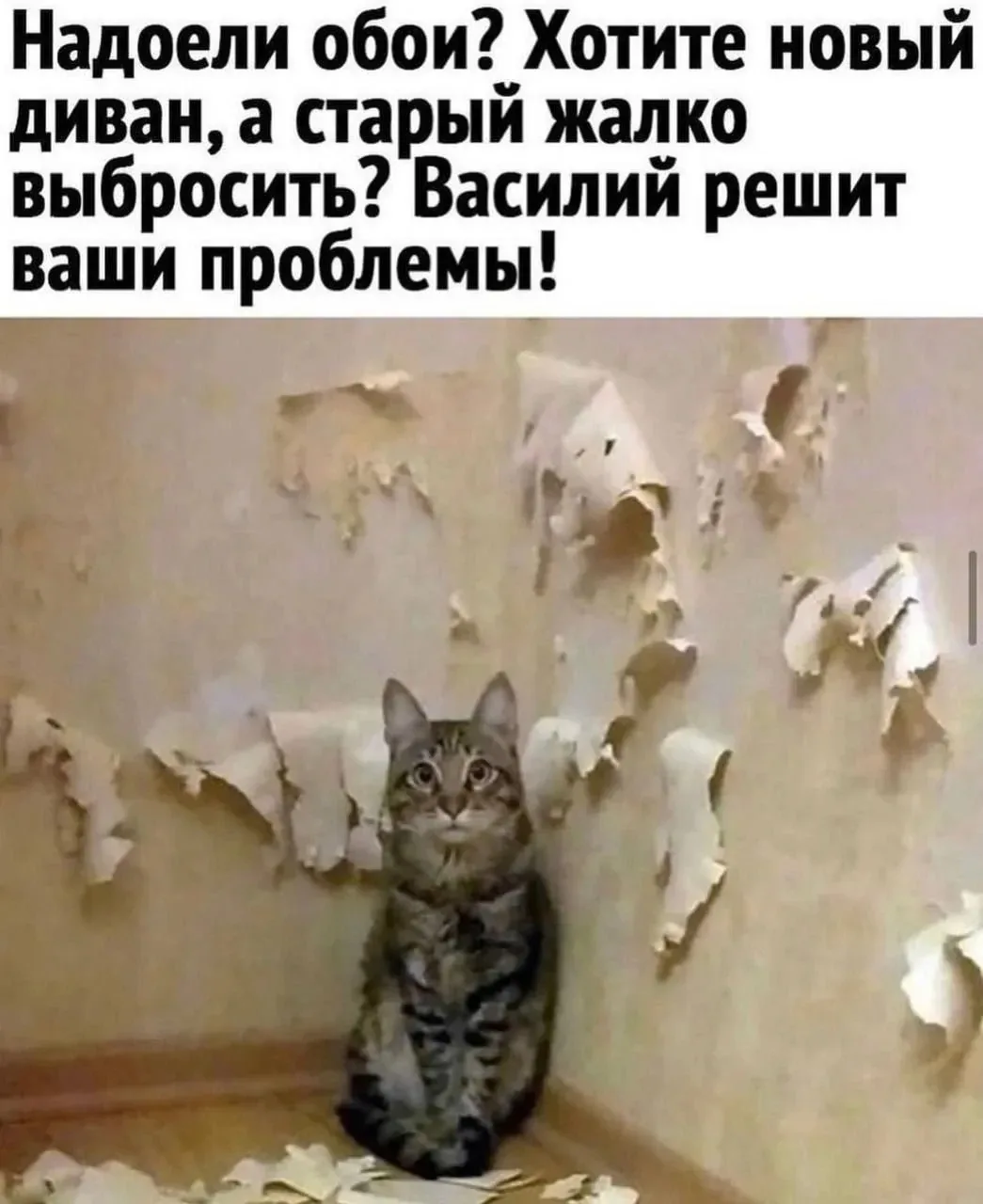 🧰  Друзья, размещение постов не периодически, а по ситуации происходит не от нашей лени, а от объём