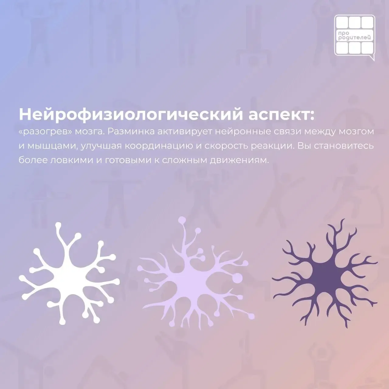 🏆 Анатомия движения: почему разминка — это не скучно, а научно необходимо  Физкультура — это не прос