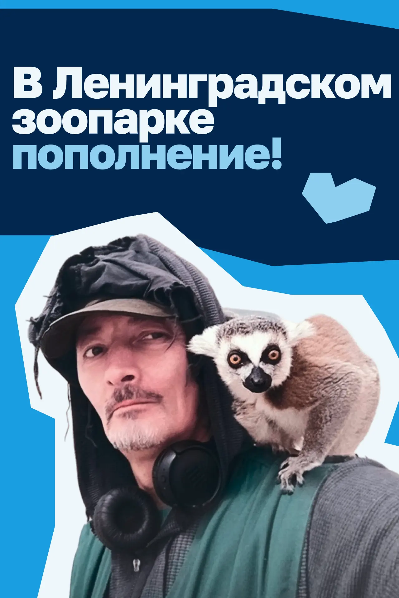 В Петербурге стало немного больше хвостов, лап и любопытных глаз. В Ленинградском зоопа...