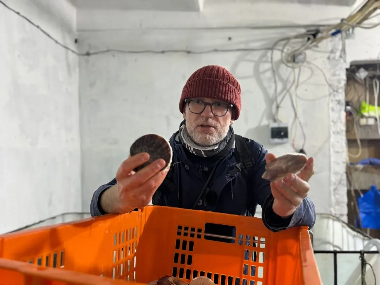 🚀 Идём на север! Три дня господдержки для бизнеса Приморья бесплатно!