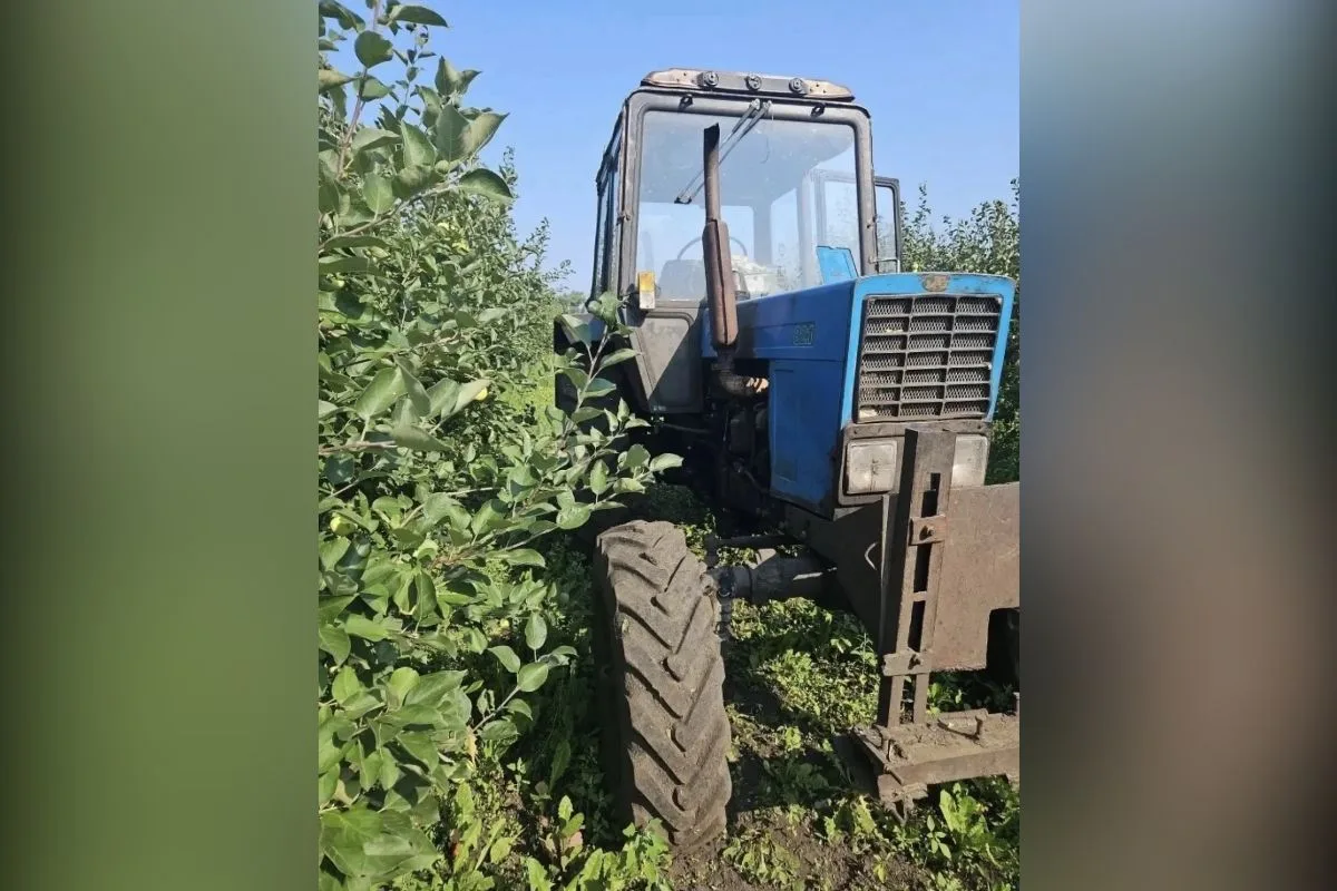 Пенсионер погиб под колесами трактора в Воронежской области