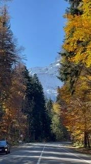 ⛷ Горный курорт Домбай стоит на высоте 1 600 метров