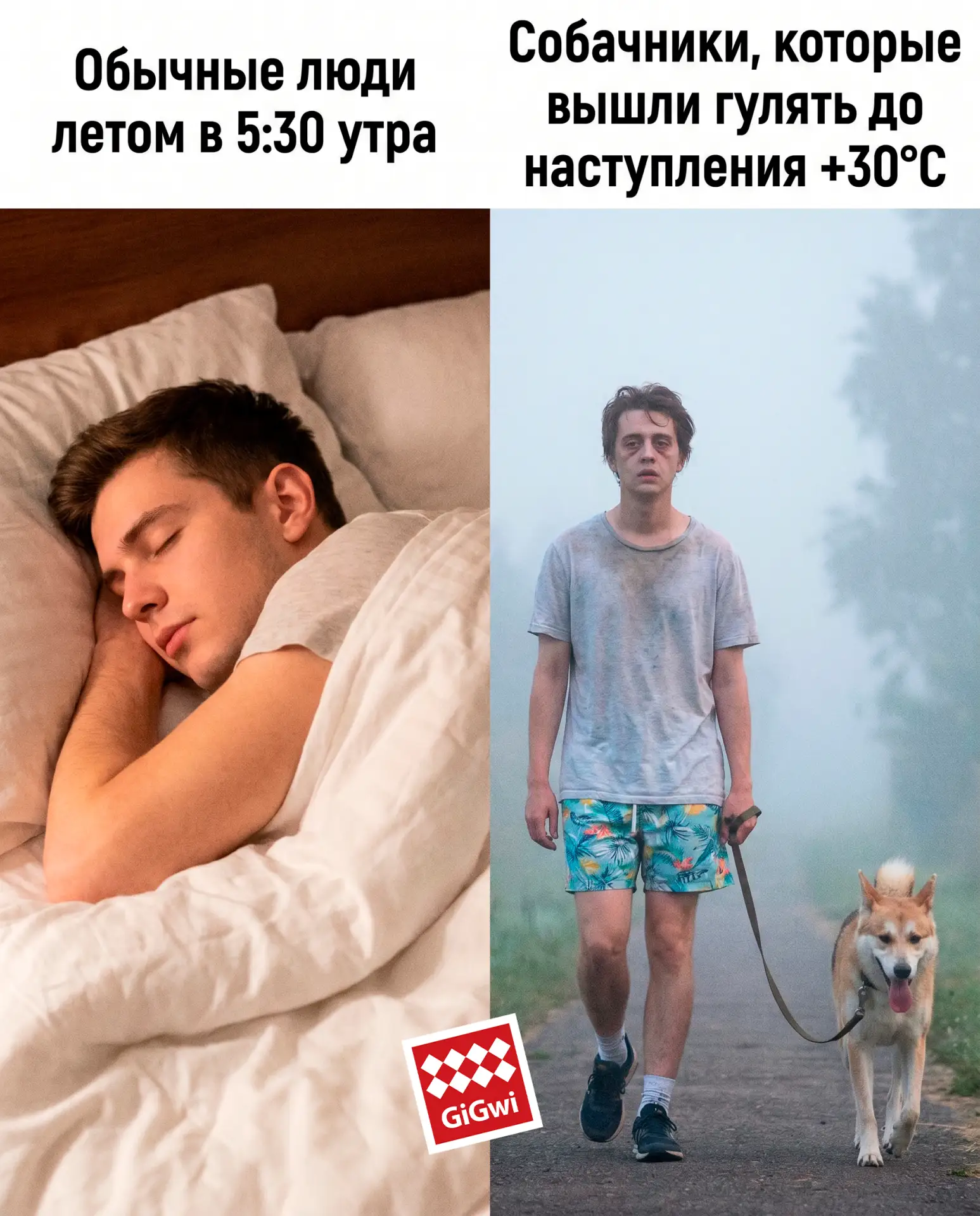 Всем доброе утро! Знакомая ситуация для владельцев собак. А кто вы на данном фото, признавайтесь?😆