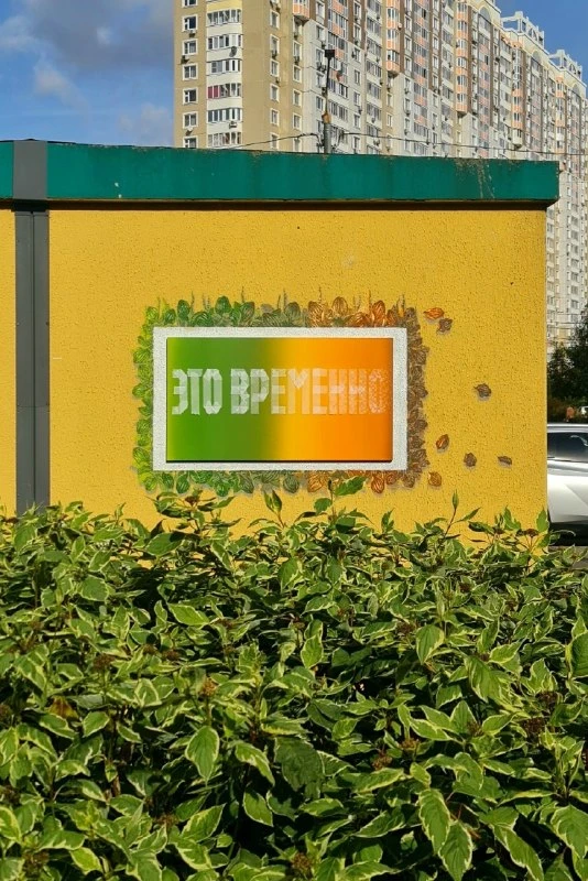 В Химках в мкр-не Левобережный появилась новая работа местного художника Артема Артохота