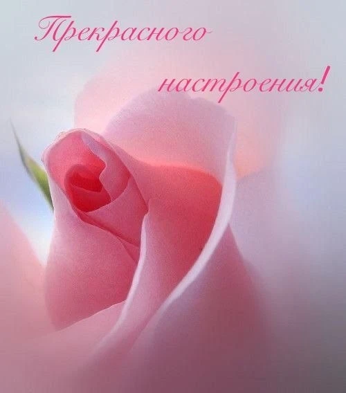 Открытки: подписаться ❤️