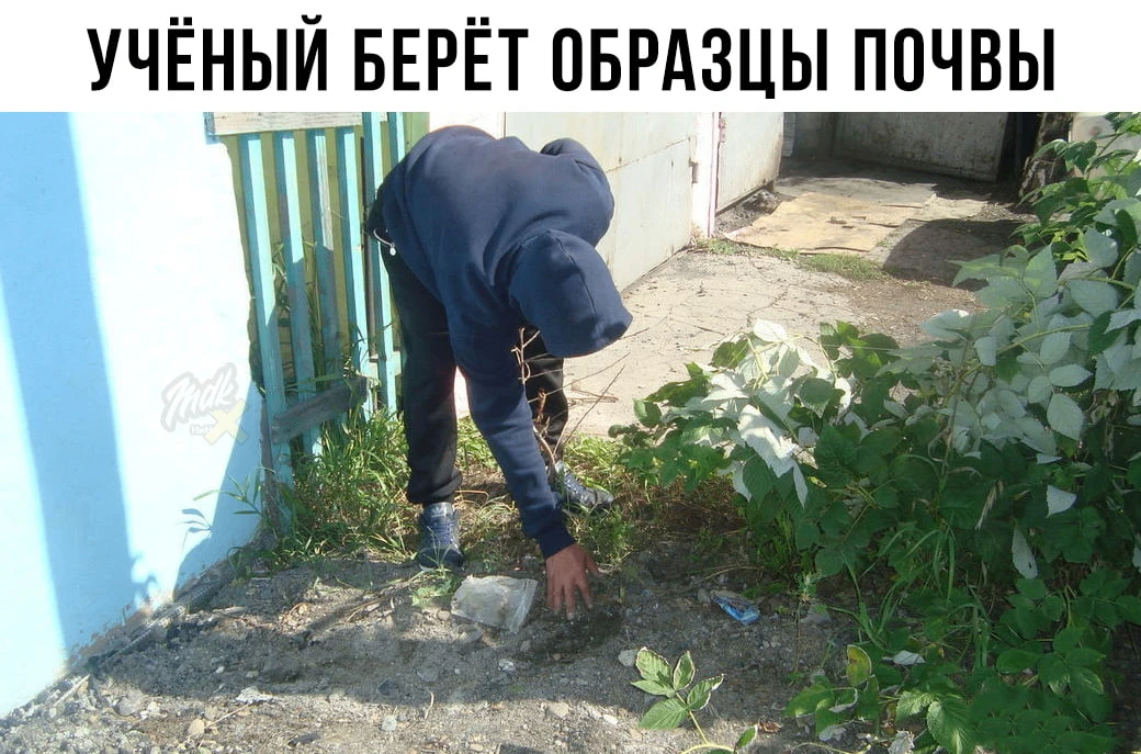 💩 Кишечную палочку нашли в большинстве проверенных образцов нижегородской почвы