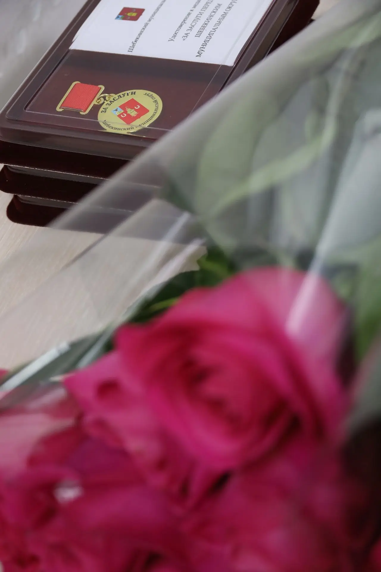 Вчера на очередном заседании Совета депутатов вручили медали «За заслуги перед Шебекинс...