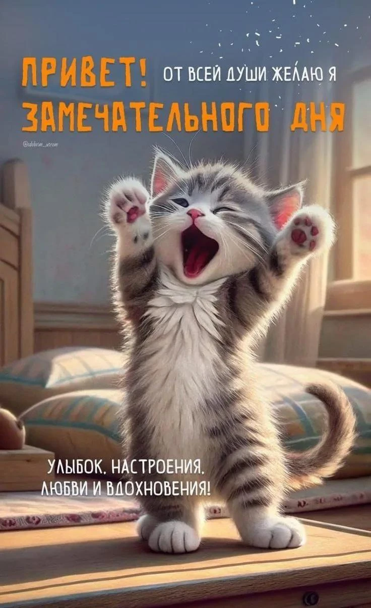 🥰 Ставьте реакции и делитесь открыткой с близкими ❤️