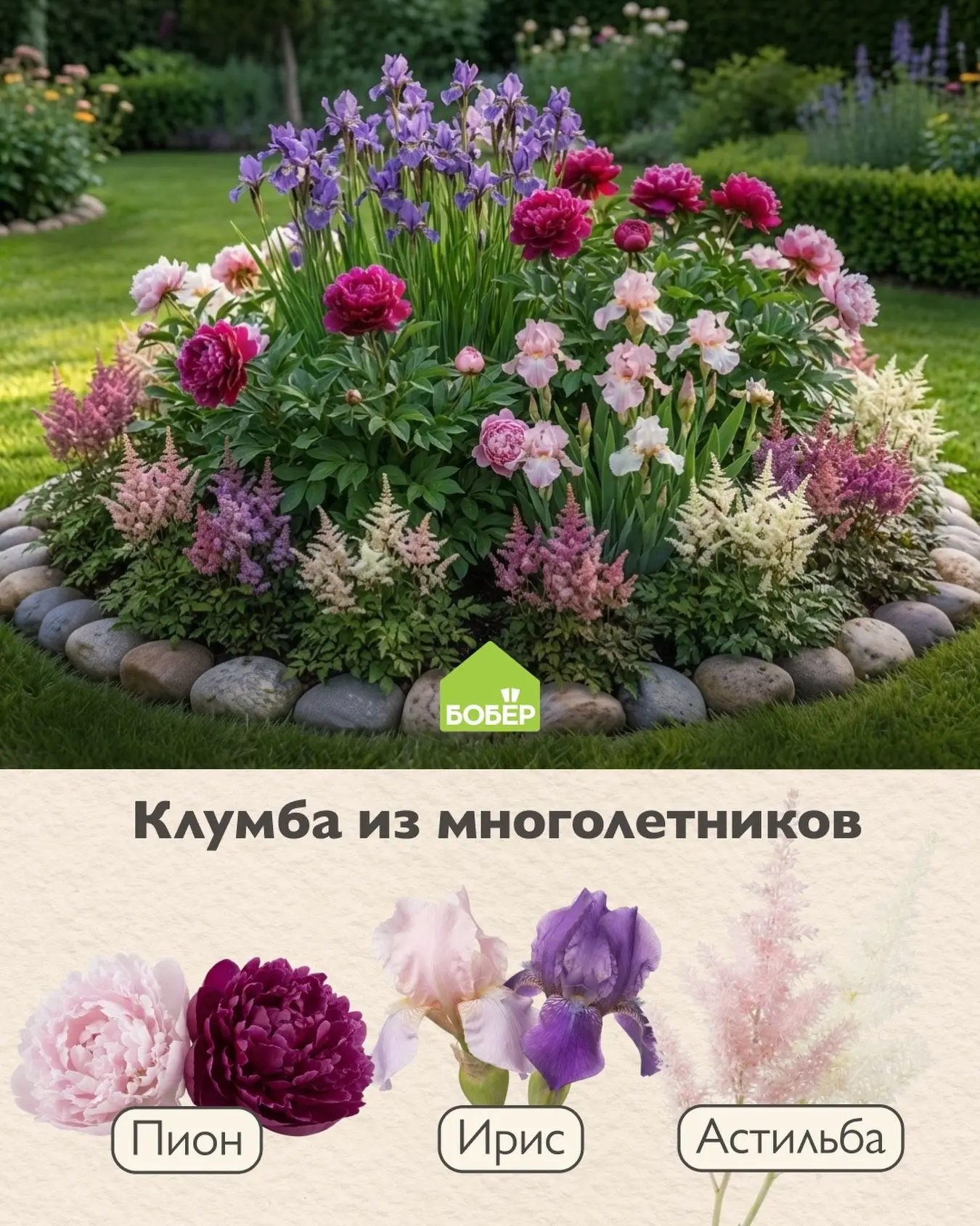 Изысканное трио: роза, ирис, астильба 🌸

Оно работает как акварельный этюд. Роза задаёт благородств