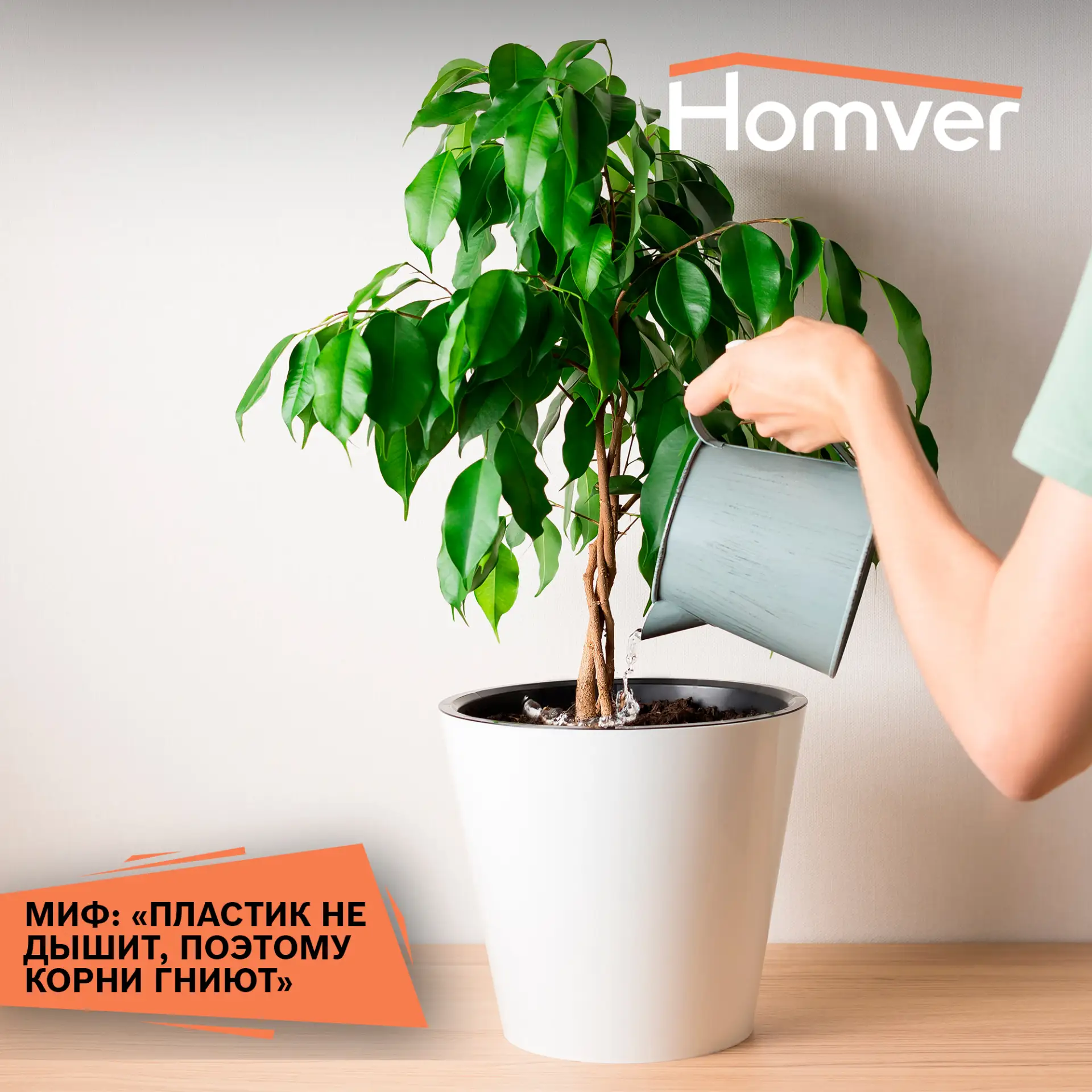 🤓 Миф: «Пластик не дышит, поэтому корни гниют»