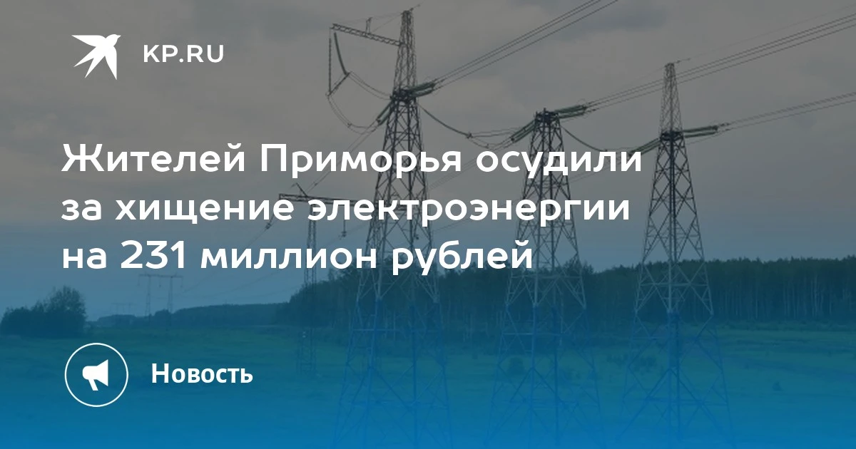 Крупное мошенничество в Приморье