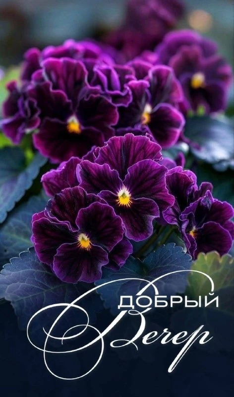 Открытки: подписаться ❤️
