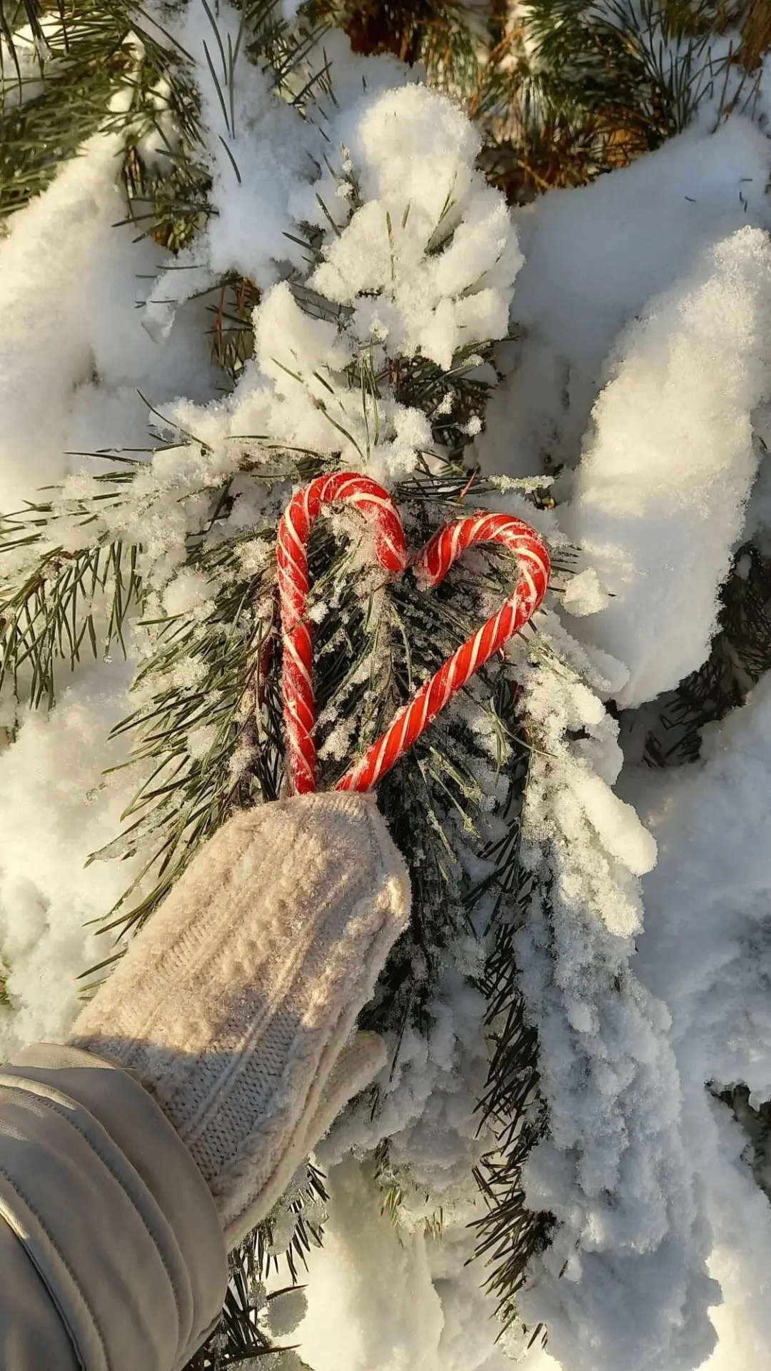 Новогодние обои 🎁