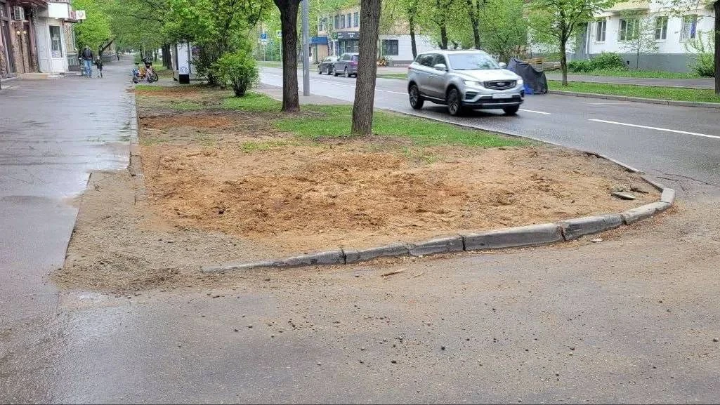 На Бойцовой, 17, газоны сейчас в таком состоянии.

Говорят, там что-то планируют делать. Кто-то в ку