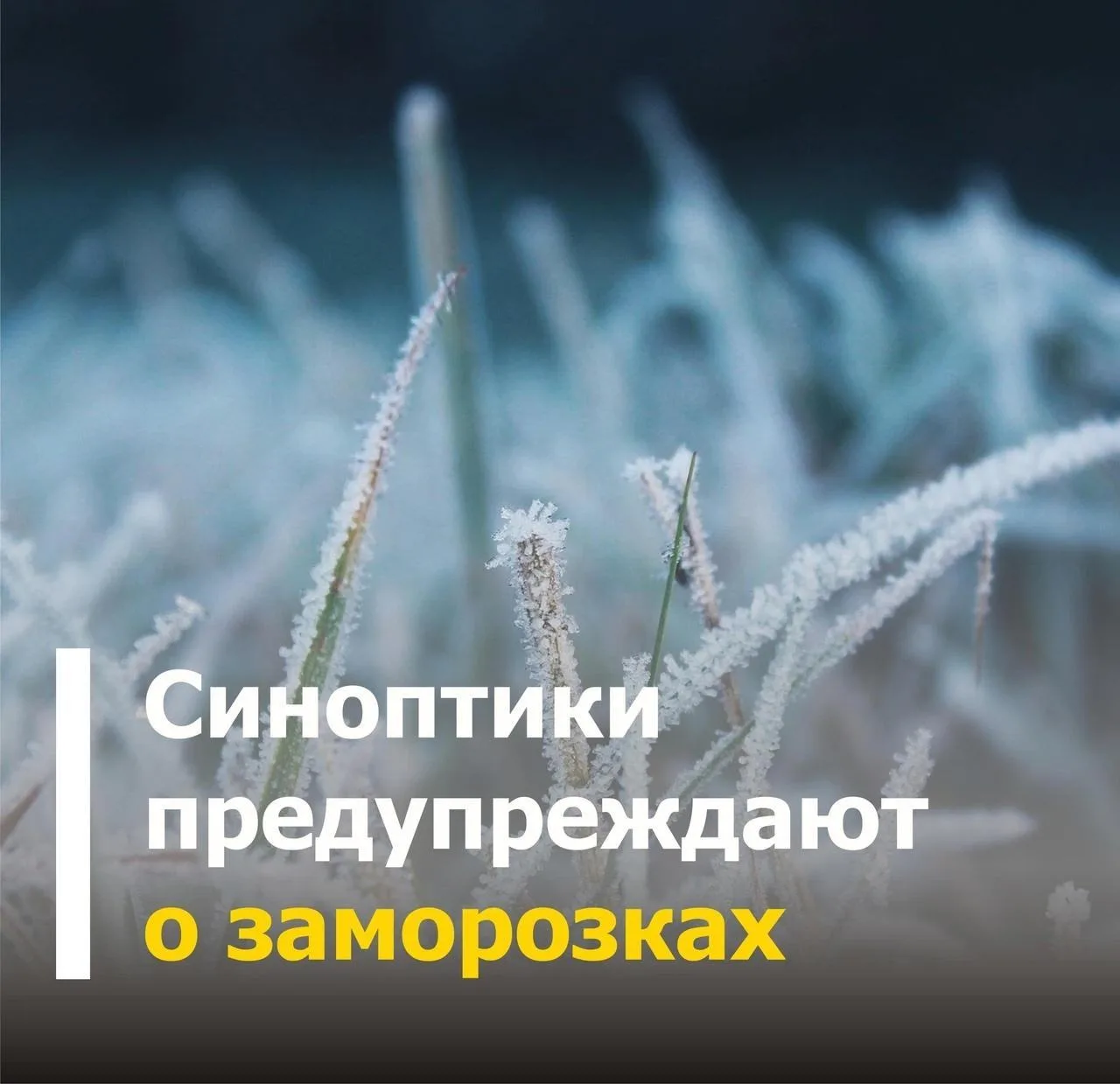 По сообщению ФГБУ «Уральское УГМС» ночью и утром 28 августа – 1 сентября местами в Свер...
