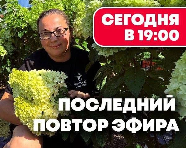 Для тех, кто не успел на прямой эфир, сегодня в 19:00 последний повтор. 

При просмотре получите не 