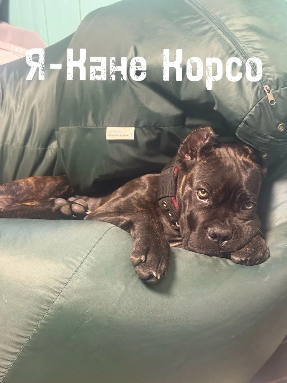 «Кто ты,воин?»)))))