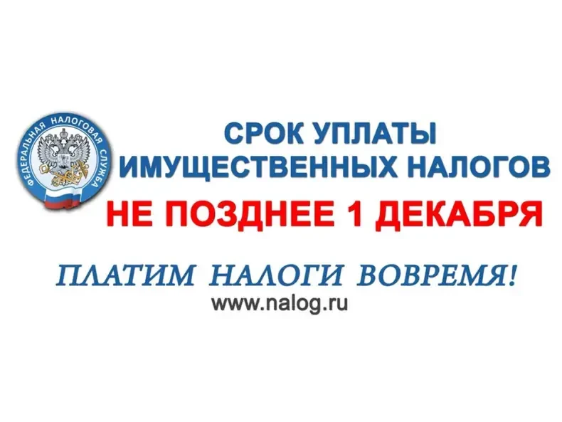 Приближается 1 декабря 2026 года – срок уплаты имущественных налогов физических лиц.