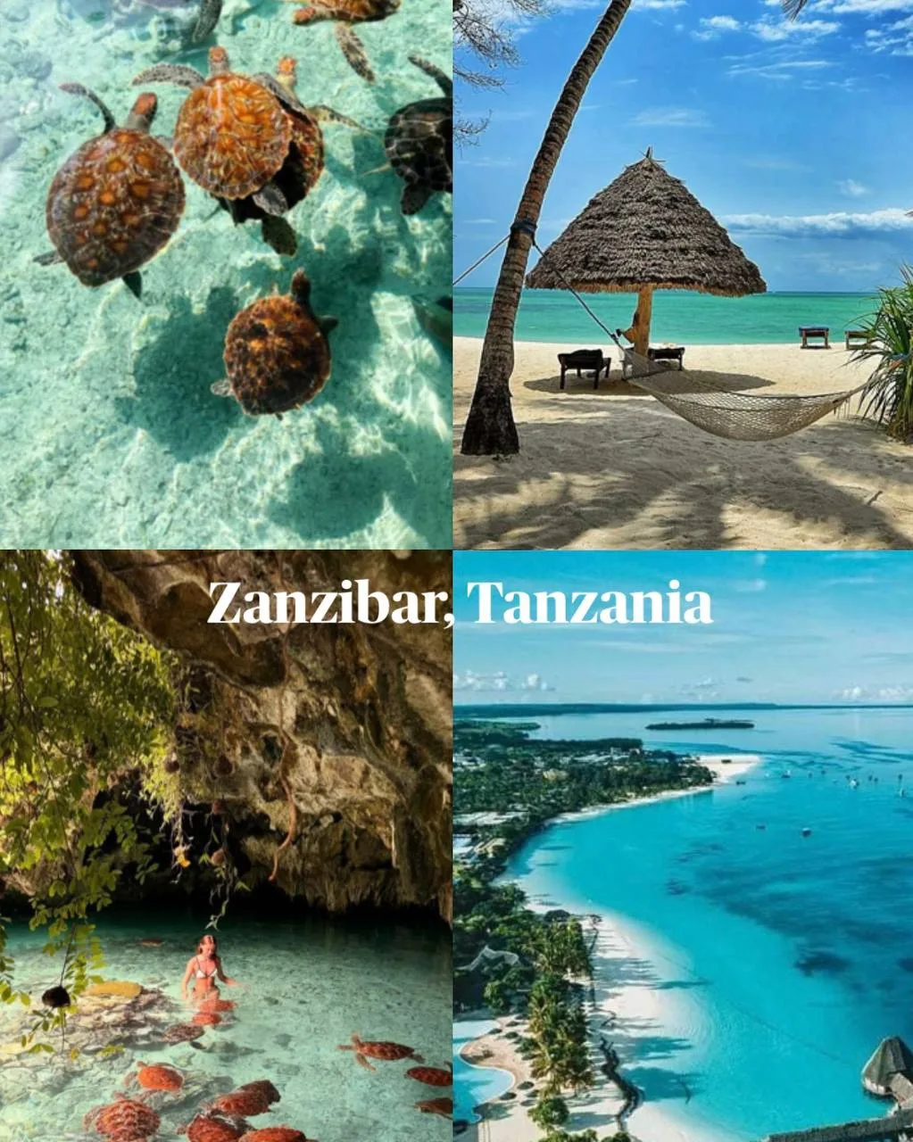 🔥ЗАНЗИБАР ПО ГОРЯЩЕЙ ЦЕНЕ!🌴