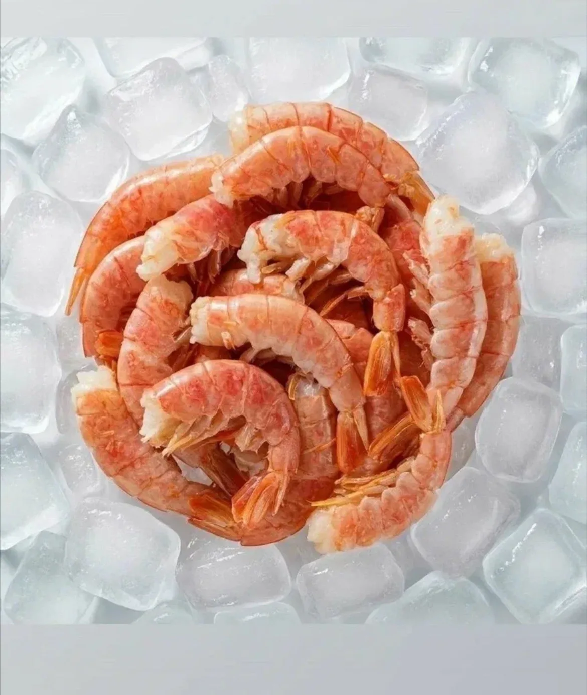 👑 Истинный деликатес южных морей! Крупнейшие Аргентинские Лангустины 🦐🌊✨