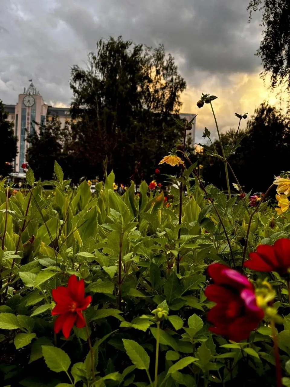 Доброе пасмурное утро, Старый Оскол ❤️

✨ Подписаться на канал / Прислать новость