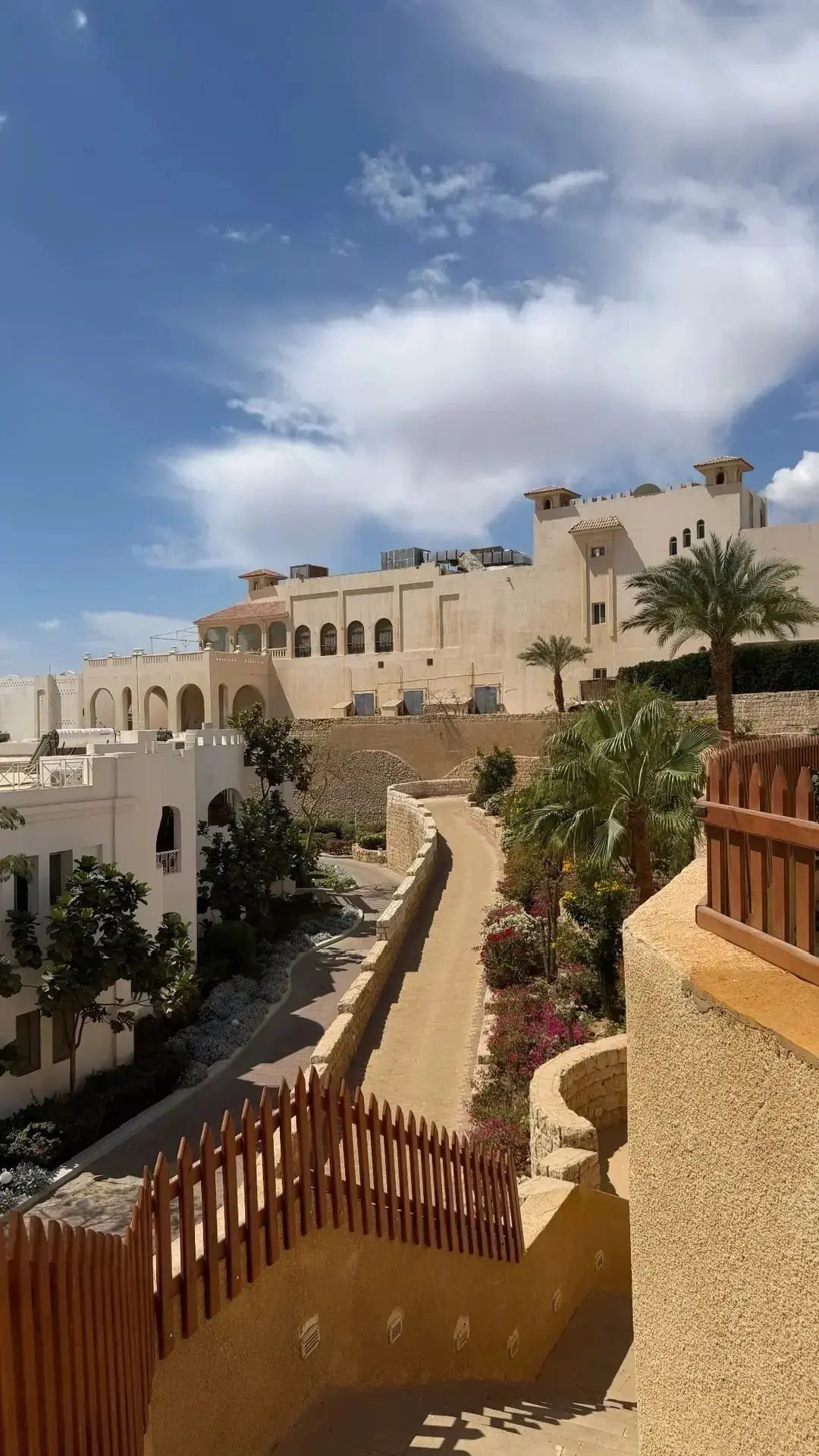 Египет 🇪🇬