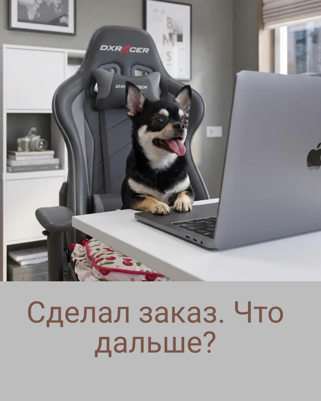 ЧТО ДЕЛАТЬ ПРИ ОФОРМЛЕНИИ ЗАКАЗА НА САЙТЕ?
