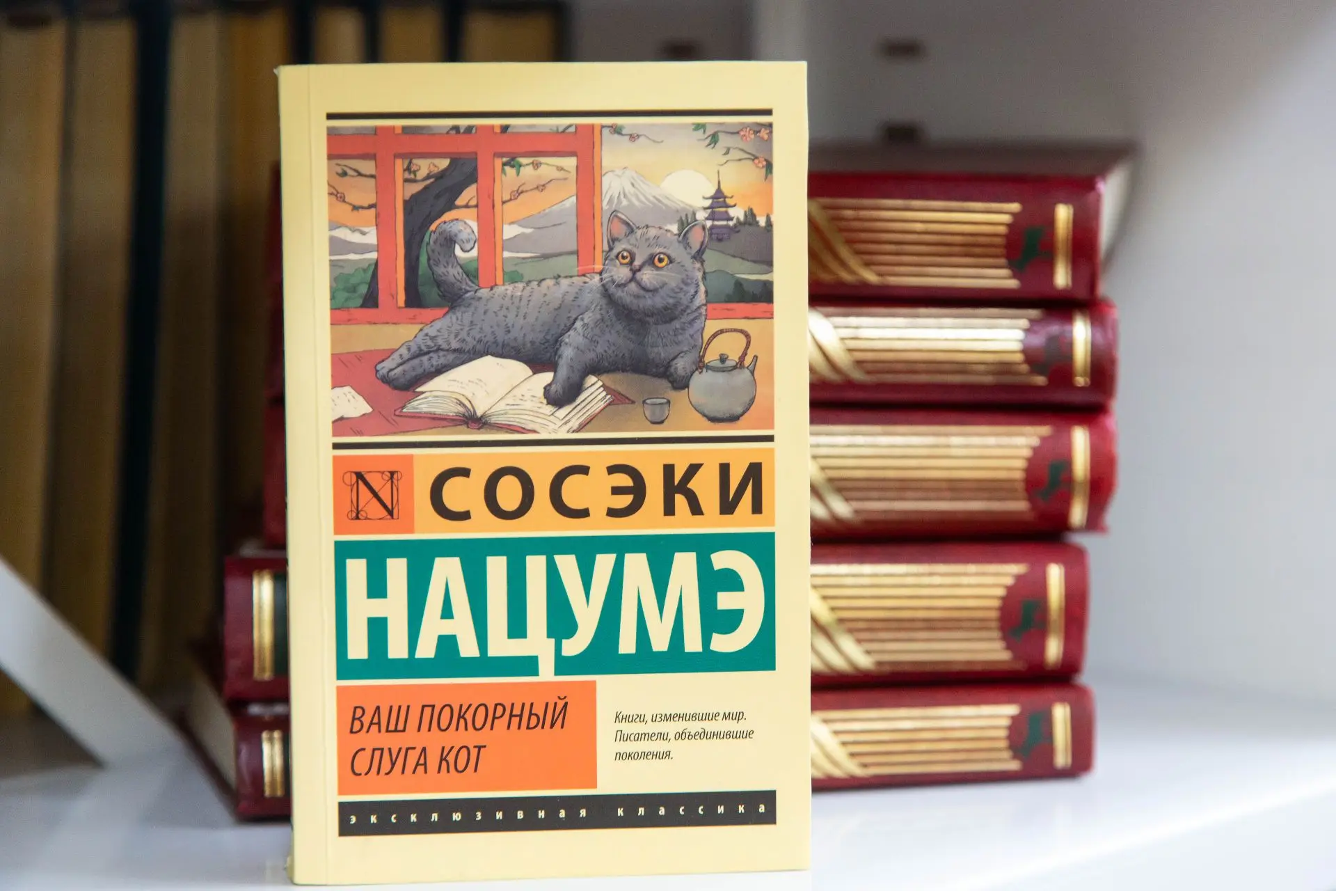 📚 Книга от УрГЭУ

💫 Сегодня хотим рассказать вам о книге «Ваш покорный слуга кот» Нацумэ Сосэки.

