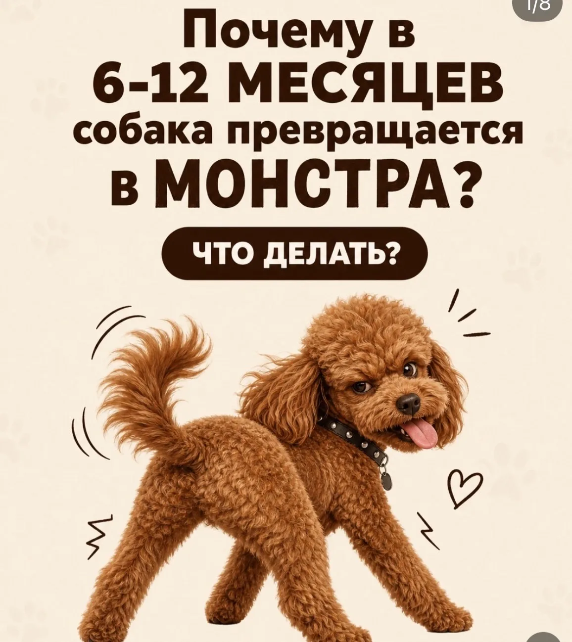 Важно для прочтения 😊
