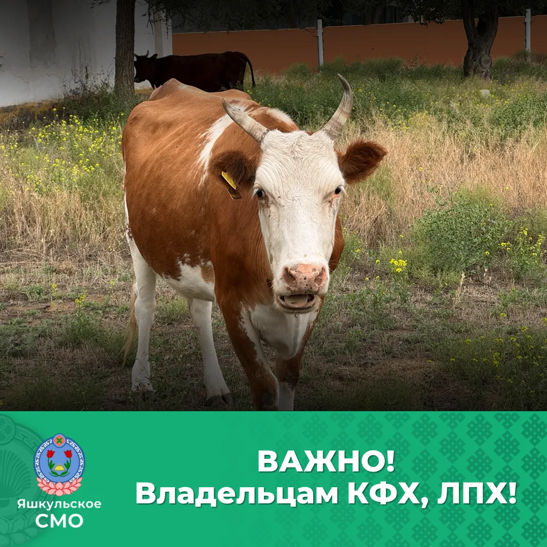 📢 Вниманию владельцев крестьянских (фермерских) и личных подсобных хозяйств!
