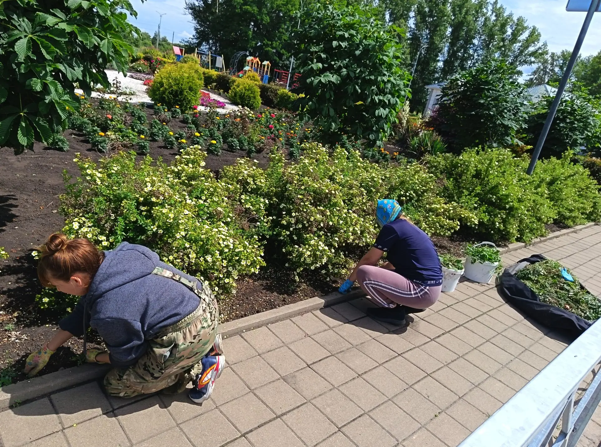 🤫✨ Школьные коридоры умолкли, но жизнь кипит! 🏫🌱

Вот и наступила пора долгожданных летних канику