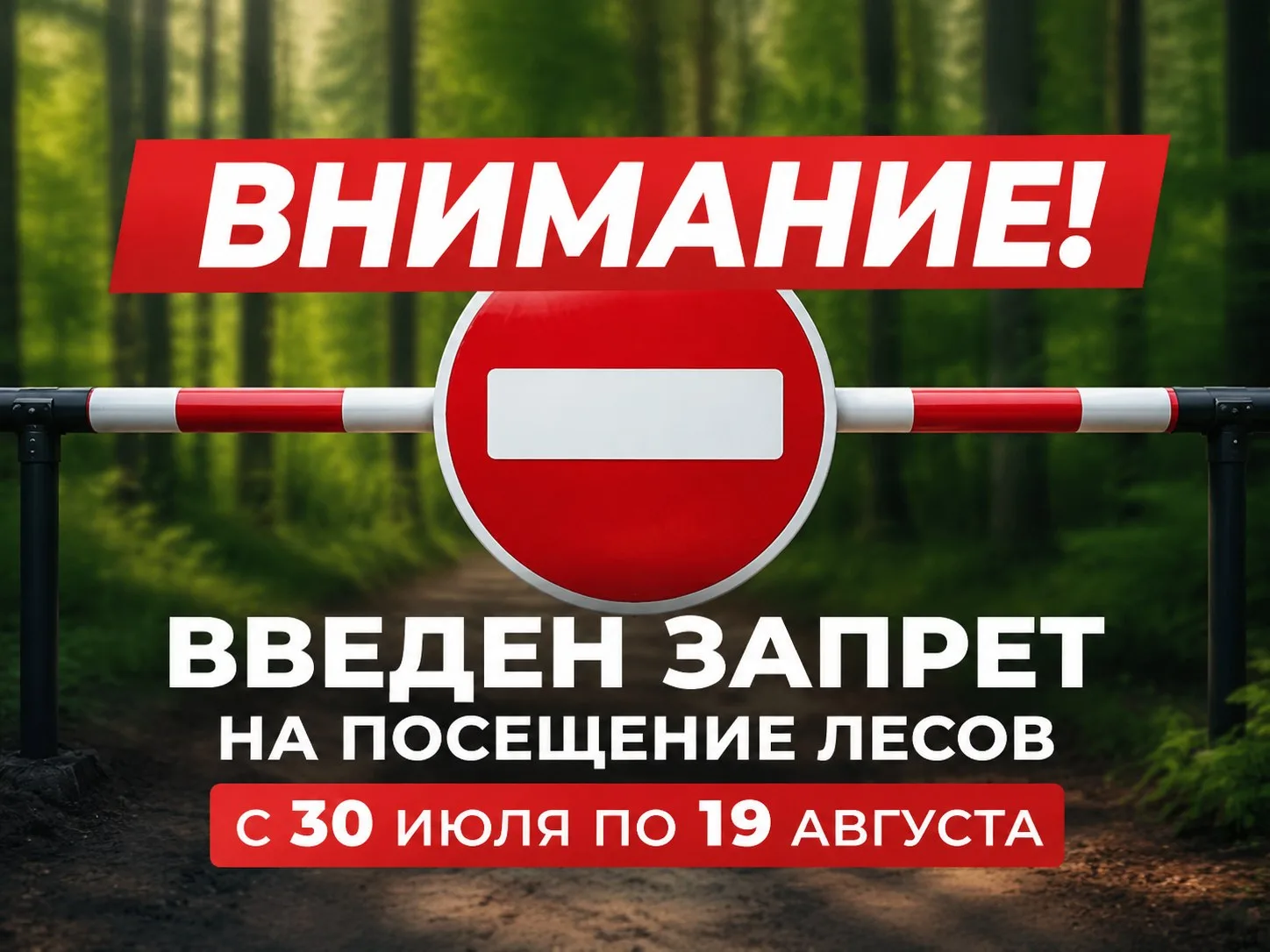 ⚡ВВЕДЕНЫ ОГРАНИЧЕНИЯ НА ПОСЕЩЕНИЕ ЛЕСОВ

❗В соответствии с приказом министерства природных ресурсов 