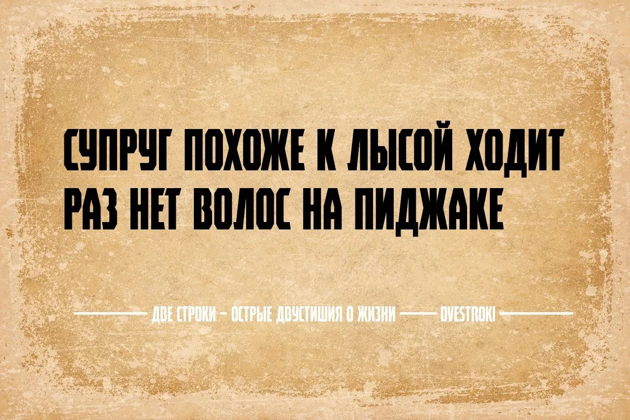 Две строки – остроумные двустишия в Telegram и Мах