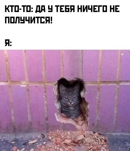 пусть в се получится 😹😹😹
