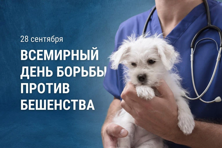 🦠 28 сентября — Всемирный день борьбы с бешенством