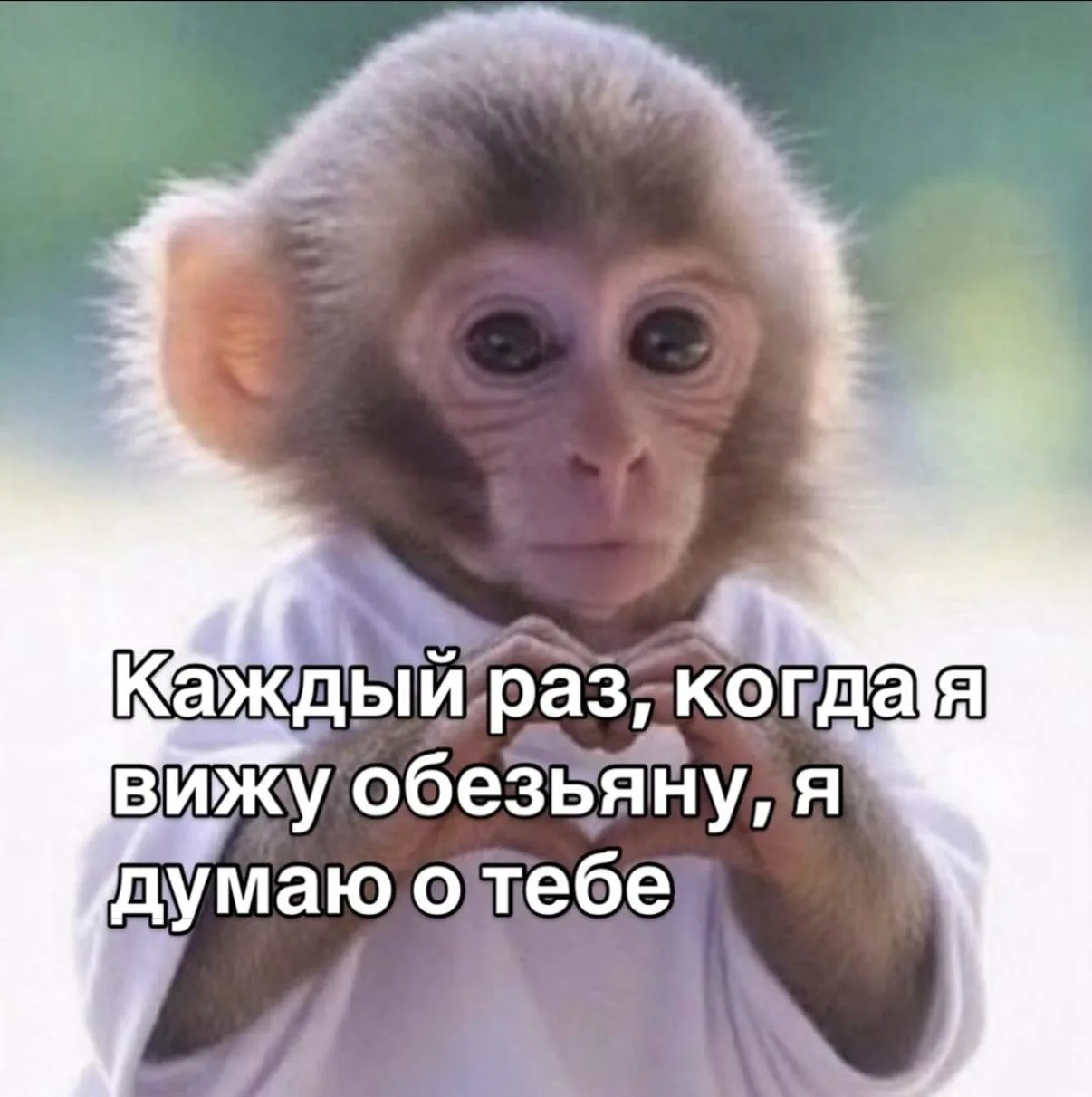 Перешли 😄

Мемы в MAX