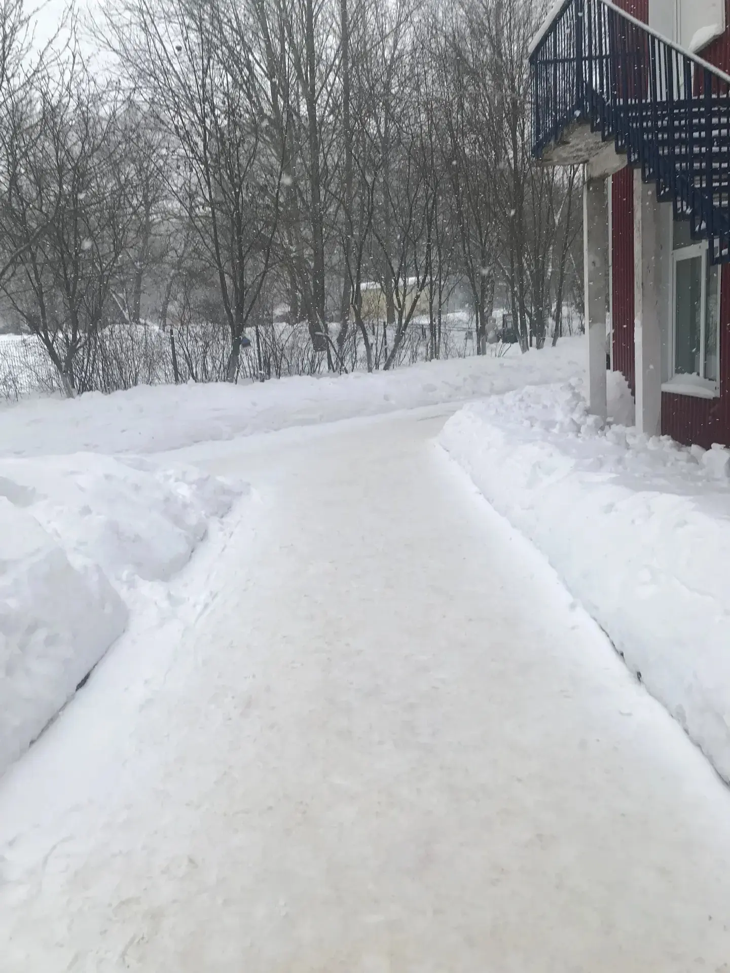 Зима продолжается ❄️❄️❄️ И наш дружный коллектив вышел на "Снежный субботник"   по расчистке снега н