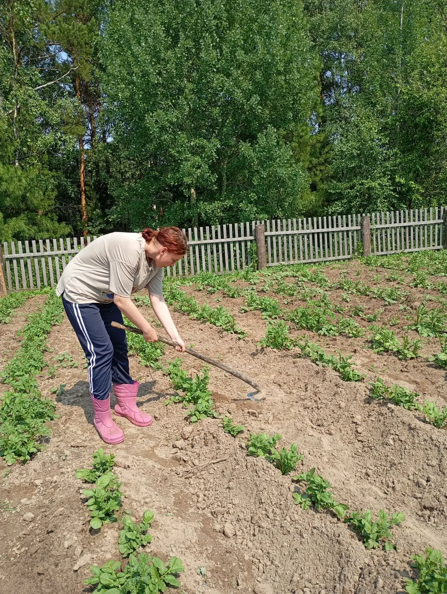 В социальной  комнате  с. Новоникольское  «Мы  вместе», п. Октябрьский  «Нам года -не беда» и с. Лук