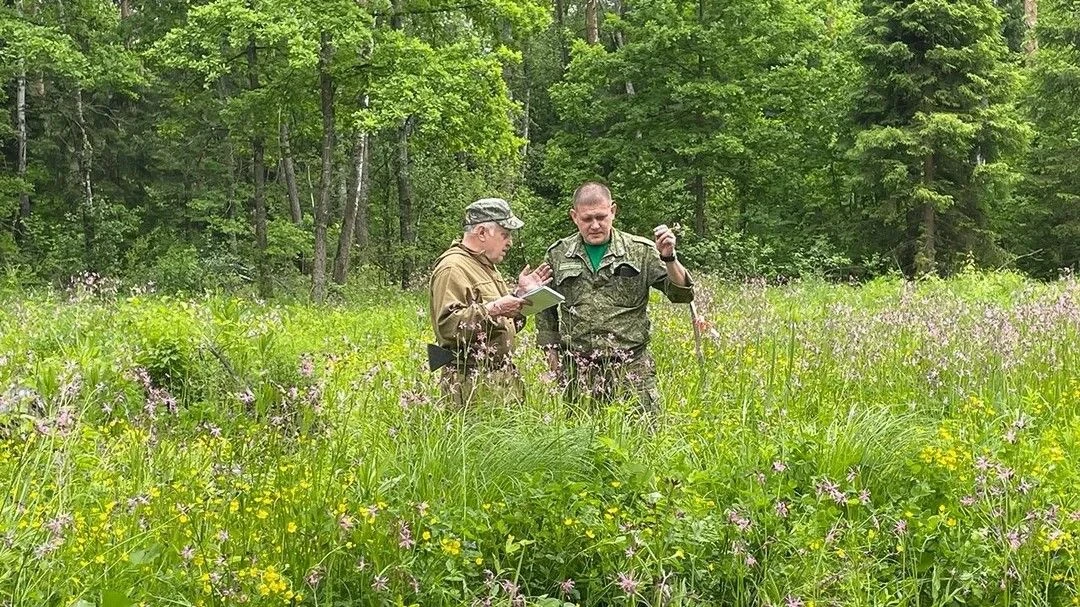 🌲 Качество лесовосстановления проверили в Ступино

На лесных территориях городского округа Ступино 