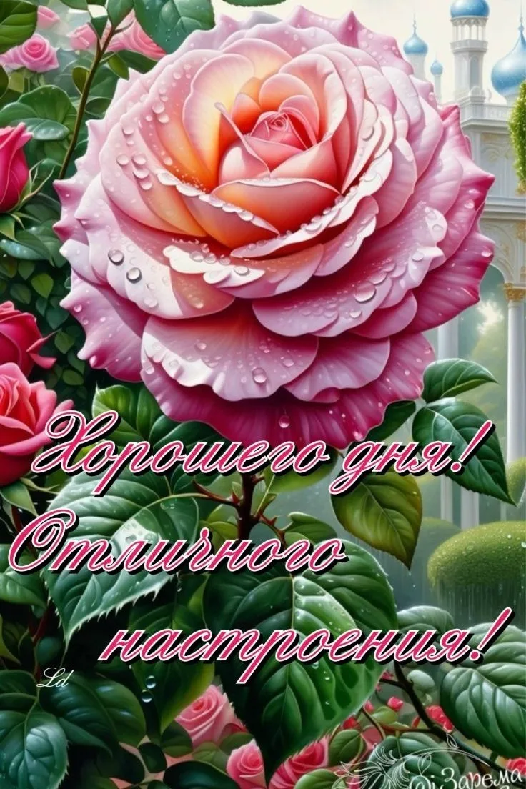 Замечательного денёчка! Хорошего настроения! 🌞🌷