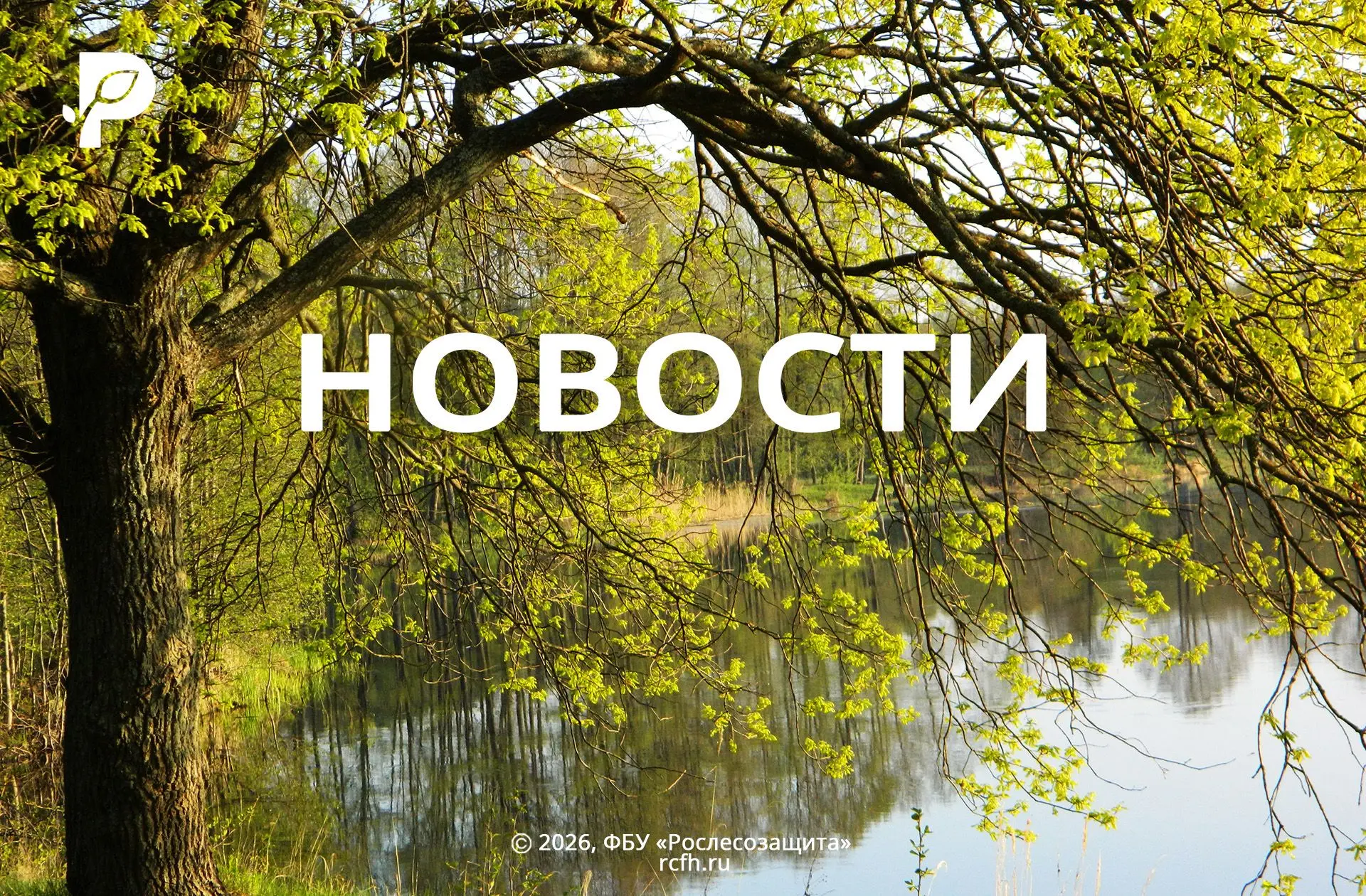 🟢 В 14 регионах России стартовала масштабная обработка лесов от насекомых-вредителей
[контакт скрыт