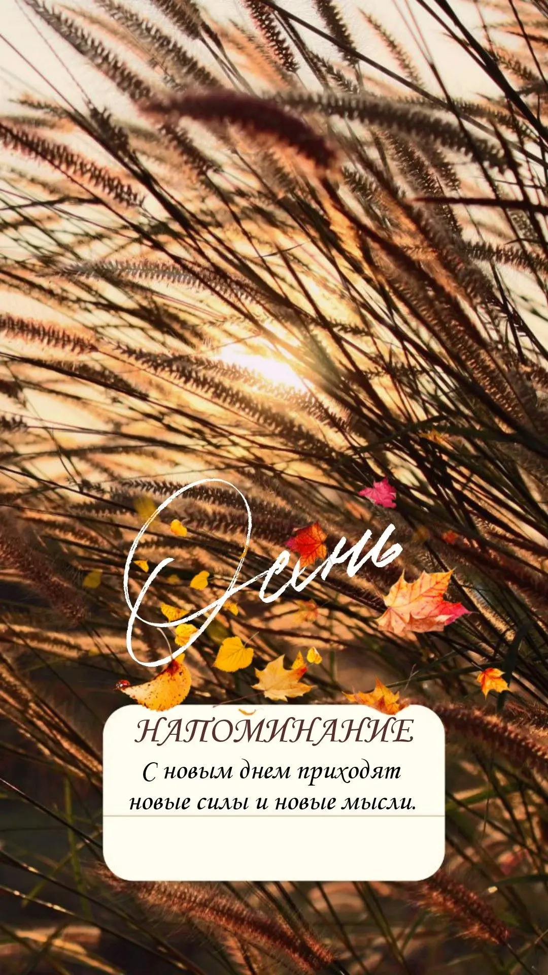 В каждом мгновении осени есть частичка чего-то прекрасного.🍂🍁