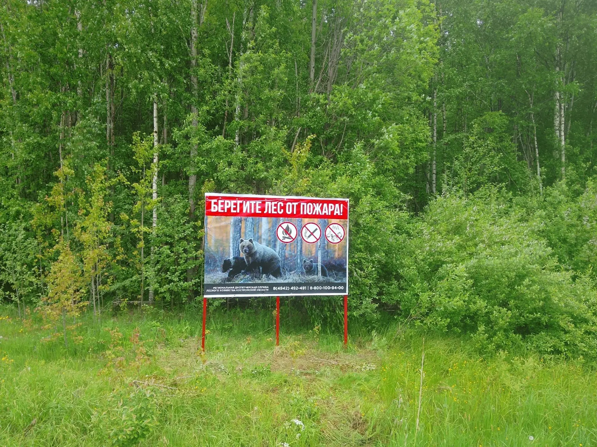 Профилактика пожаров в лесах Павинского лесничества: новый информационный стенд